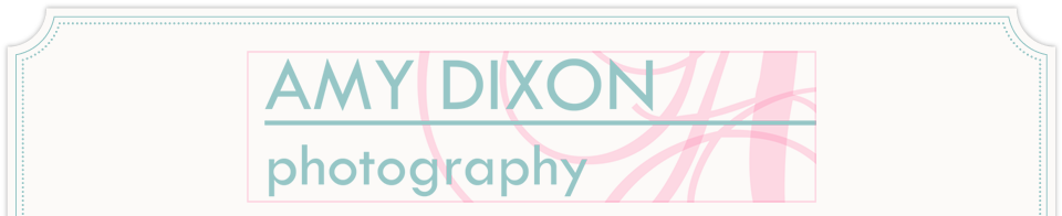 Amy Dixon Photography logo